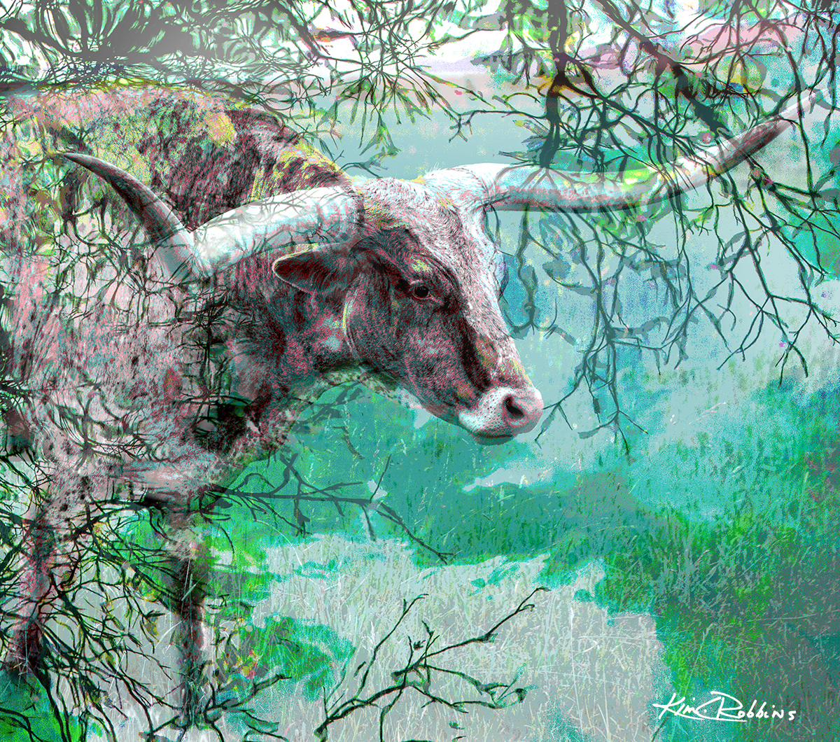 Longhorn at the Pond