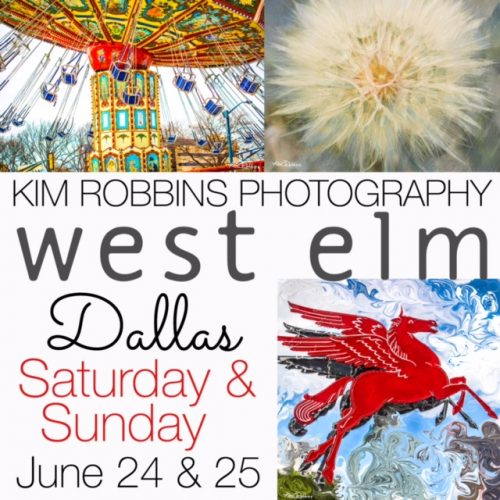 West Elm Featured Artist @ West Elm Dallas | Dallas | Texas | United States
