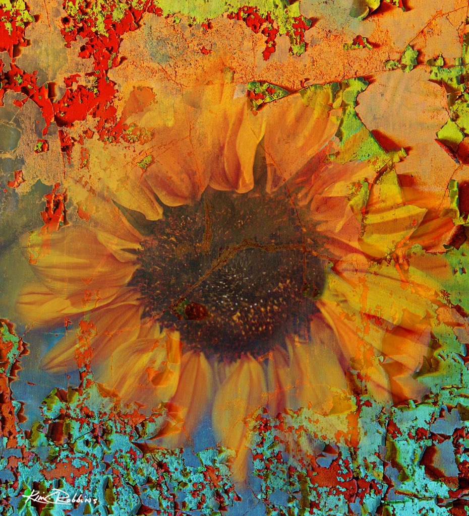 Sunflower-Beauty_-4A8A0256_ORANGE_Hero_2-copy_FB-930x1024.jpg